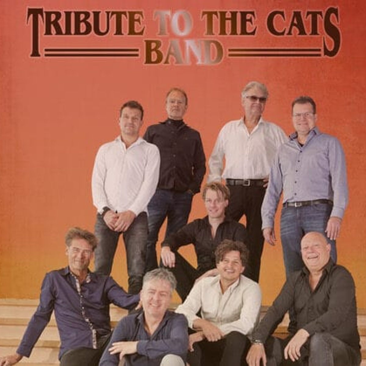 Tribute-to-the-cats-boeken